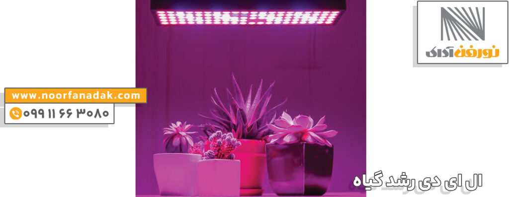 ال ای دی رشد گیاه