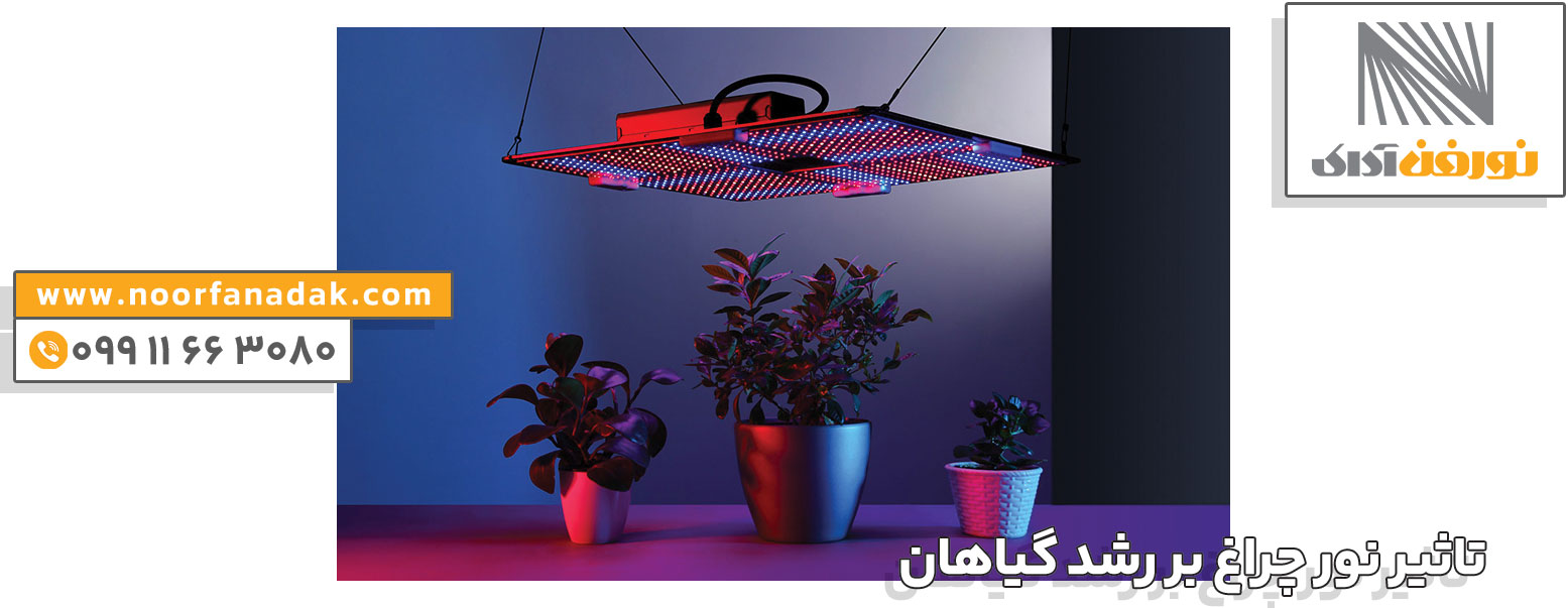تأثیر نور چراغ بر رشد گیاهان