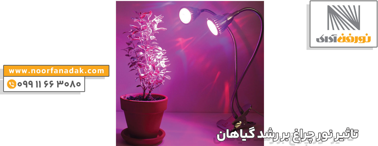 چراغ ال ای دی رشد گیاهان