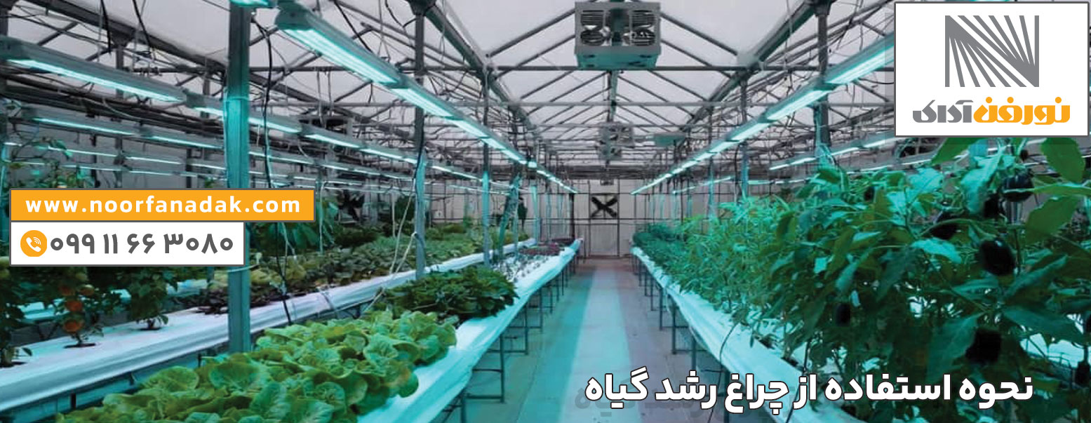 خرید ال ای دی رشد گیاه