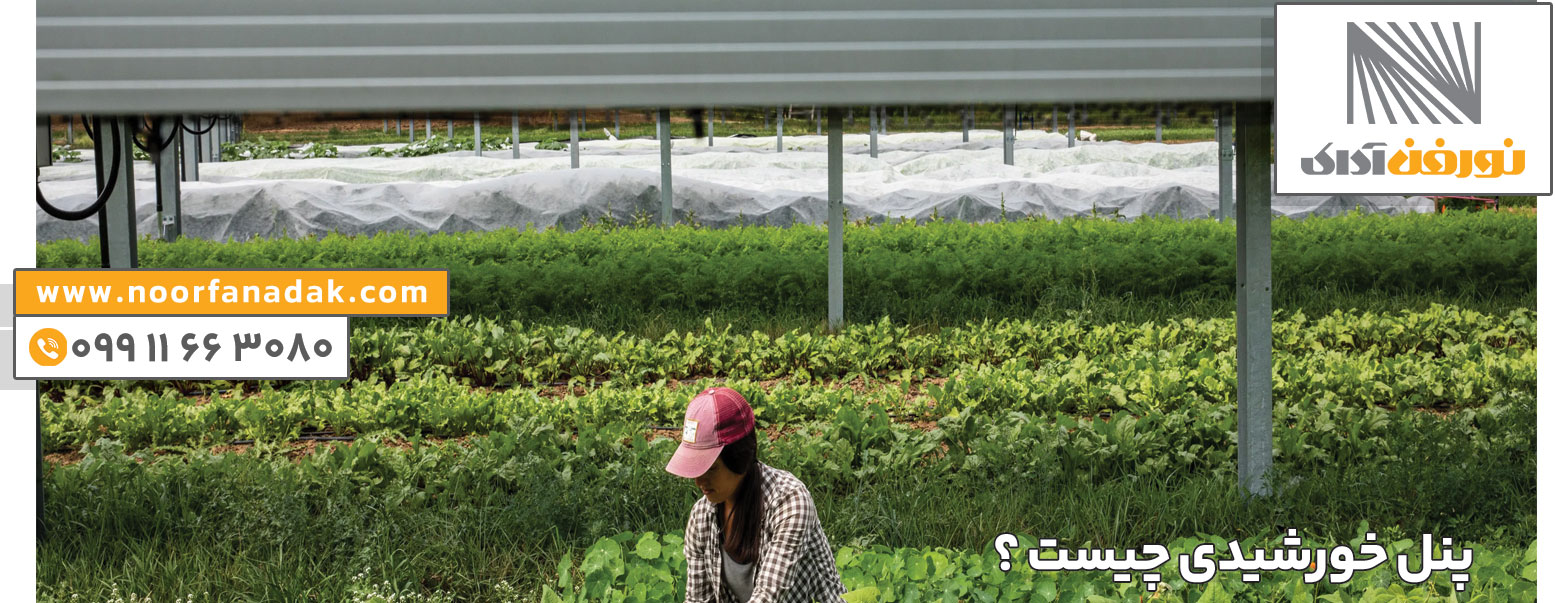 مزارع پنل خورشیدی